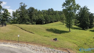 Enjoy extravagant views from the gated community of The Bluffs - photo 5