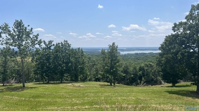 Enjoy extravagant views from the gated community of The Bluffs - photo 8