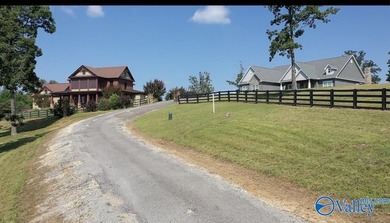 Enjoy extravagant views from the gated community of The Bluffs - photo 4