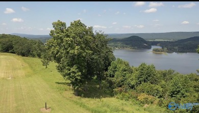 Enjoy extravagant views from the gated community of The Bluffs - photo 6
