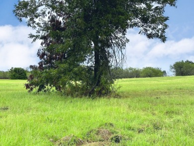 Lot 131 Vista Lake Drive - photo 13
