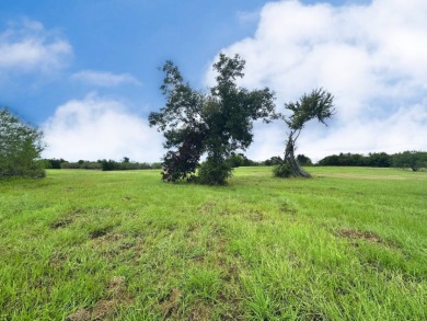 Lot 131 Vista Lake Drive - photo 25