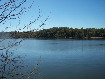 Lakefront Lot # 47 In Cedar Ridge Bay - photo 2