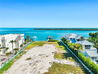 One of the Best waterfront properties on the West Coast of - photo 27