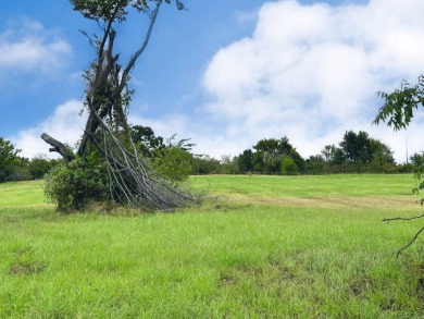 Lot 131 Vista Lake Drive - photo 19