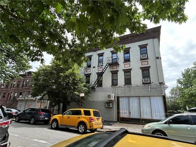 This property really makes a statement on the corner of Nostrand - photo 5
