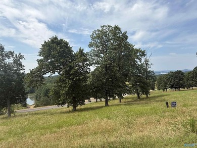 Enjoy extravagant views from the gated community of The Bluffs - photo 2