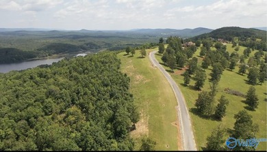 Enjoy extravagant views from the gated community of The Bluffs - photo 4