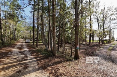 Bay-View Homesite Opportunity - Coastal Living Near Mobile Bay - photo 4