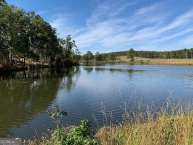 Lake Acreage For Sale in Washington, Georgia