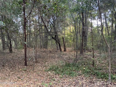Beaufort River Lot Active Under Contract in Saint Helena Island South Carolina