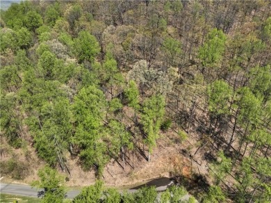 Lake Acreage For Sale in Cleveland, Georgia