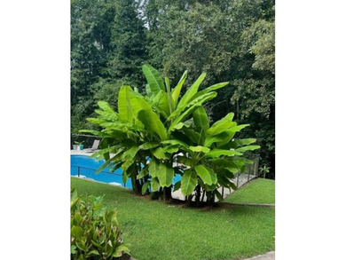 Discover a rare opportunity in the highly desirable Macedonia - photo 10