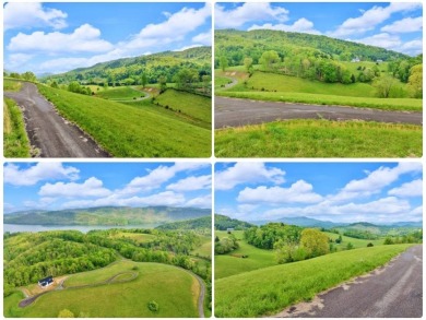 Lake Lot For Sale in Butler, Tennessee