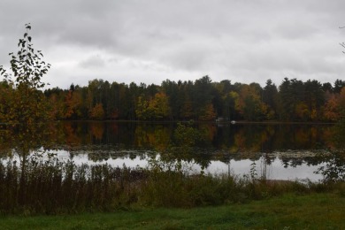 Faust Lake Lot For Sale in Rhinelander Wisconsin