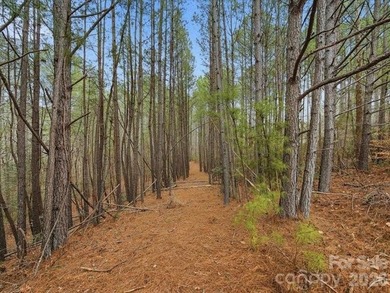 Nestled within the prestigious gated community of Harbor Ridge - photo 11