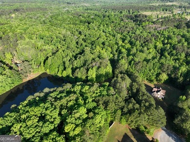 Take a look at this Beautiful wooded 4.42 acre cul-de-sac lot on - photo 11