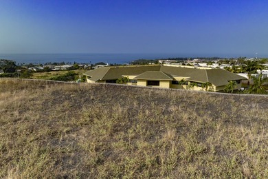 Commercial (CG-20) zoning in Kailua-Kona town. Join the many - photo 11