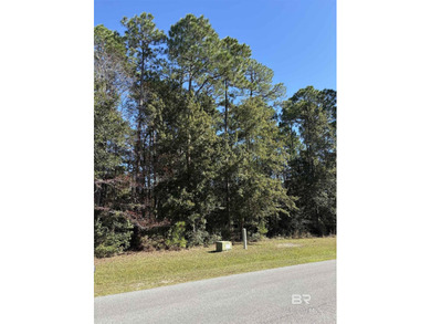 Build your dream home on this beautiful 1.05-acre wooded - photo 1