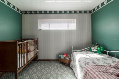 Welcome to a rare opportunity in the heart of Ridge Road - photo 55