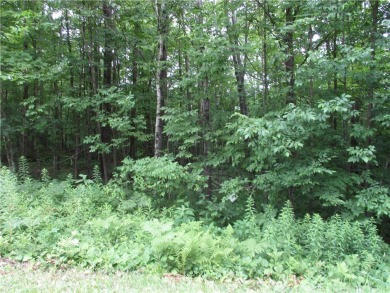 (private lake, pond, creek) Lot For Sale in Birchwood Wisconsin