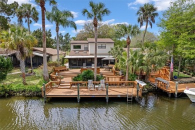 Homosassa River Home For Sale in Homosassa Florida