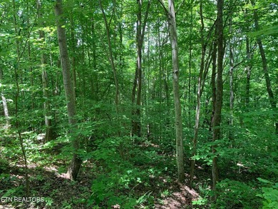 Discover the perfect blend of privacy and scenic beauty with - photo 5