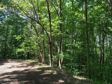Discover the perfect blend of privacy and scenic beauty with - photo 6