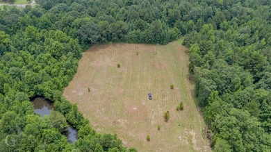 (private lake, pond, coastal) Acreage For Sale in Gloster Louisiana