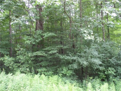 (private lake, pond, creek) Lot For Sale in Birchwood Wisconsin