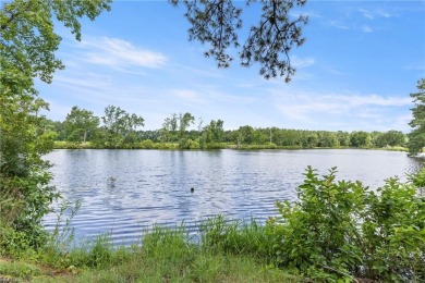 (private lake, pond, creek) Home For Sale in Smithfield Virginia