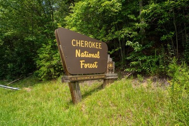 First time ever offered on the market! This well-maintained - photo 39