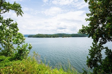 First time ever offered on the market! This well-maintained - photo 46