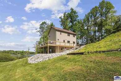 Welcome to Racoon Lake. This isn't just a property, but a dream - photo 48