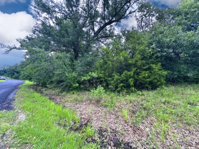 1 Acre Off Water Heavily Treed Lot, Richland Chambers Lake - Lake Lot For Sale in Streetman, Texas