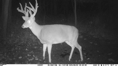 The River Bend Bottoms Farm offers 429 +/- acres with a rare - photo 8