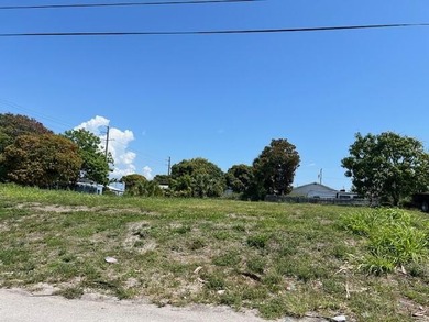 Oversized 0.31 vacant lot located in the heart of Riviera Beach - photo 1