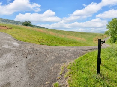 Lake Lot For Sale in Butler, Tennessee