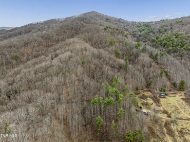 Discover the perfect blend of privacy and natural beauty with - photo 3