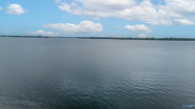 The views from this lot are unmatched on Weiss Lake. It is at - photo 11
