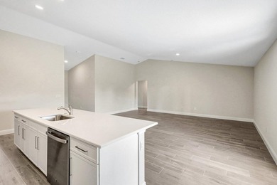 THE AMAZING IBIS MODEL. BUILT BY AWARD WINNING SYNERGY HOMES - photo 12