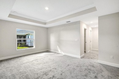 THE AMAZING IBIS MODEL. BUILT BY AWARD WINNING SYNERGY HOMES - photo 19