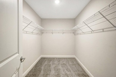 THE AMAZING IBIS MODEL. BUILT BY AWARD WINNING SYNERGY HOMES - photo 25