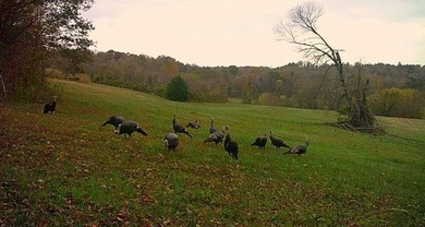 Single Continuous Tract | 2+ Miles of Barren River Frontage | - photo 34