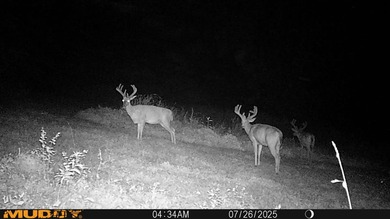 Single Continuous Tract | 2+ Miles of Barren River Frontage | - photo 38