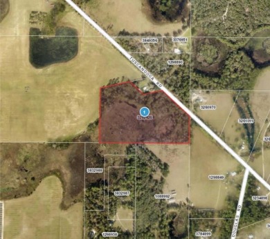 (private lake, pond, creek) Acreage For Sale in Groveland Florida