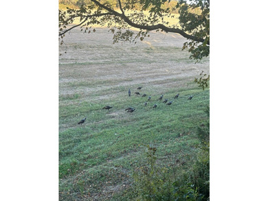 Single Continuous Tract | 2+ Miles of Barren River Frontage | - photo 42