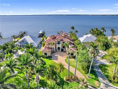 Experience the perfect blend of luxury and warmth in this - photo 50