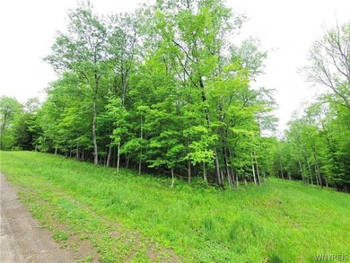 Build your dream home or private mountain retreat on this - photo 1