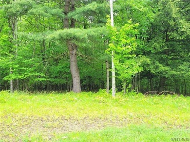 Build your dream home or private mountain retreat on this - photo 2
